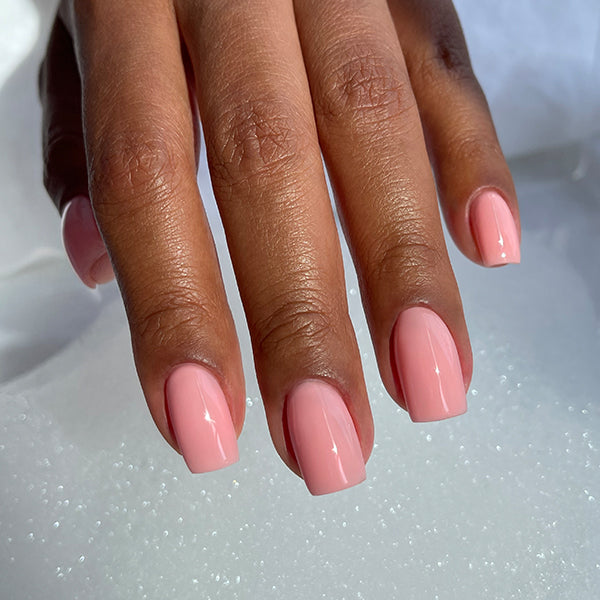 Cursus NN Perfectie training (STARTERS & ERVAREN)